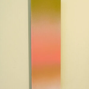 The Soul of Colour Resin - Long